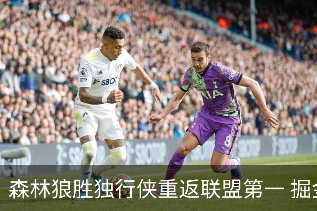森林狼胜独行侠重返联盟第一 掘金胜篮网3连胜